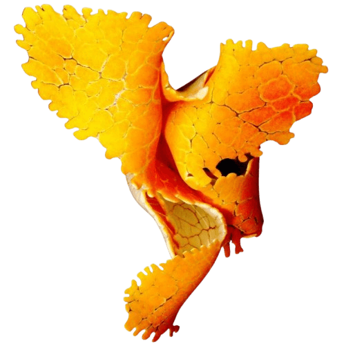 Glaskunst med strukturer af Michael Kofod Glaskunst med strukturer af Michael Kofod